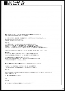 (COMIC1☆3) [04U (Misasagi Task)] Taiyou no Hatake Nite | On the Sunny Field (Touhou Project) [English] {CGrascal} - page 24