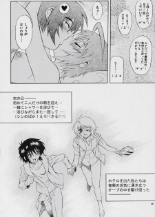 (SC34) [GUST (Harukaze Soyogu)] Burning!! 4 (Mobile Suit Gundam SEED DESTINY) - page 25