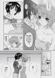 (SC34) [GUST (Harukaze Soyogu)] Burning!! 4 (Mobile Suit Gundam SEED DESTINY) - page 6