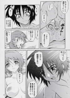 (SC34) [GUST (Harukaze Soyogu)] Burning!! 4 (Mobile Suit Gundam SEED DESTINY) - page 17