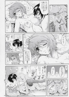 (C69) [GUST (Harukaze Soyogu)] Burning!! 2 (Mobile Suit Gundam SEED DESTINY) - page 11