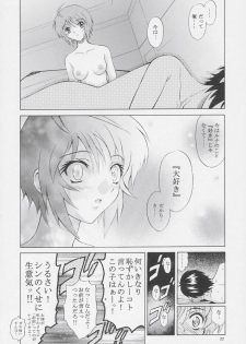 (C69) [GUST (Harukaze Soyogu)] Burning!! 2 (Mobile Suit Gundam SEED DESTINY) - page 21