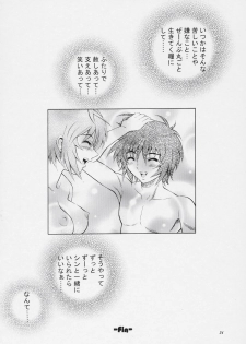 (C69) [GUST (Harukaze Soyogu)] Burning!! 2 (Mobile Suit Gundam SEED DESTINY) - page 23