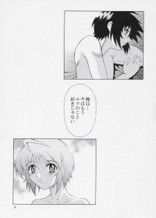 (C69) [GUST (Harukaze Soyogu)] Burning!! 2 (Mobile Suit Gundam SEED DESTINY) - page 20