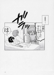 (C70) [GUST (Harukaze Soyogu)] Burning!! 3 (Kidou Senshi Gundam SEED DESTINY [Mobile Suit Gundam SEED DESTINY]) - page 25