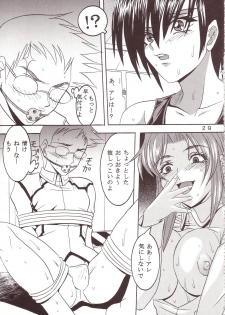 [St. Rio (Kitty, Kouenji Rei)] SEED (Mobile Suit Gundam SEED) - page 30