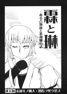 [Yamotodou Rakugakiichi (yamoto)] Rin to Rin (Touhou Project) - page 1