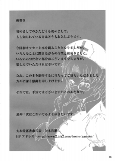 [Yamotodou Rakugakiichi (yamoto)] Rin to Rin (Touhou Project) - page 17