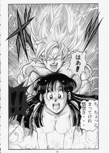 [Rehabilitation (Garland)] DRAGONBALL H Bekkan Toppatsubon Kaiteiban (Dragon Ball Z) - page 11
