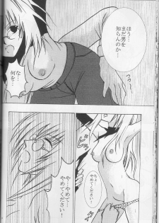 (C63) [Crimson Comics (Carmine)] Tearju no Higeki (Black Cat) - page 29