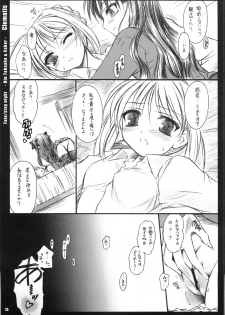 (C68) [Yakan Hikou (Inoue Tommy)] Clematis (Fate/stay night) - page 14