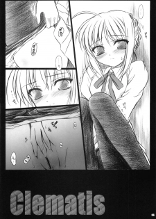 (C68) [Yakan Hikou (Inoue Tommy)] Clematis (Fate/stay night) - page 5