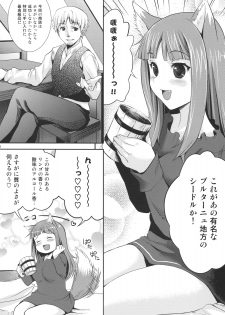(COMIC1☆3) [Koakuma Sageha (Sage Joh)] Ookami to Mitsu Ringo (Spice and Wolf) - page 5