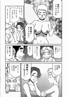 [Koshou Shoushou] Kyonyuu Inran Choukyou ~ Kyashii no Sainan ~ - page 33