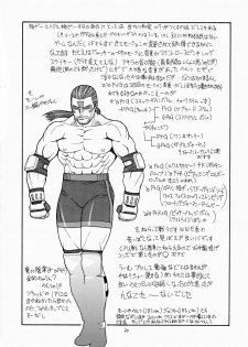 [From Japan (Aki Kyouma)] FIGHTERS GiGaMIX FGM vol.19 (Dead or Alive) - page 29