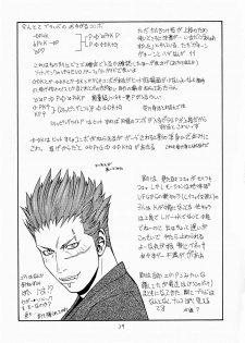 [From Japan (Aki Kyouma)] FIGHTERS GiGaMIX FGM vol.19 (Dead or Alive) - page 28