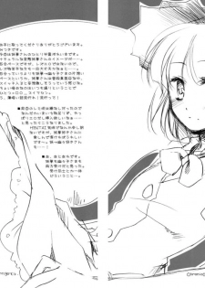(COMIC1☆3) [FRAC (Mitsuki)] Chronic Vertigo (Touhou Project) - page 3