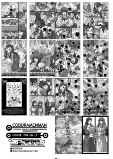 (SC22) [Coburamenman (Uhhii)] Mai-In 2 (Mai-Otome) - page 33