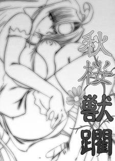 (C75) [Kanten Jigenryuu] Akizakura Kemonorin (Super Robot Taisen, Xenosaga) - page 2