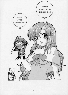 (C68) [K2 Tomonokai (Mizuki)] Gundes Arekore (Gundam Seed Destiny) - page 3