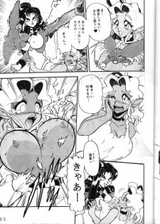 (C49) [Jingai Makyou Club (WING☆BIRD)] Gremlin Club (Bishoujo Senshi Sailor Moon, Tenchi Muyo!) - page 25