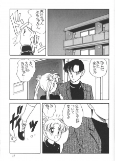 [Shishamo House] Elfin 9 [Sailor Moon] - page 16