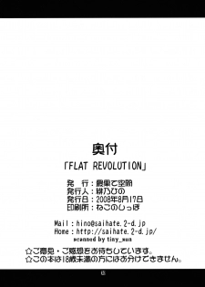 (C74) [Saihate-Kukan (Hino Hino)] FLAT REVOLUTION (Zero no Tsukaima) - page 29