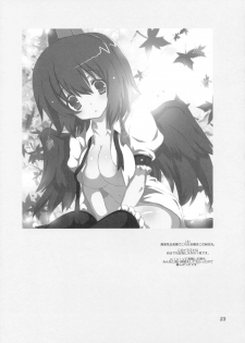 [odin (Kurokawa Izumi)] Kinoko no Sasoi. 2 (Touhou Project) - page 22