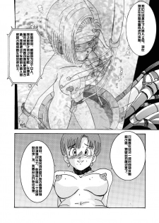 [Light Rate Port Pink] Tanjou!! Aku no Onna Senshi - Videl Sennou Kaizou Keikaku (Dragon Ball Z) [Chinese] [村长个人汉化] - page 35