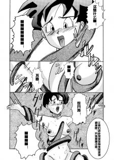 [Light Rate Port Pink] Tanjou!! Aku no Onna Senshi - Videl Sennou Kaizou Keikaku (Dragon Ball Z) [Chinese] [村长个人汉化] - page 19