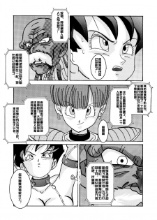 [Light Rate Port Pink] Tanjou!! Aku no Onna Senshi - Videl Sennou Kaizou Keikaku (Dragon Ball Z) [Chinese] [村长个人汉化] - page 9