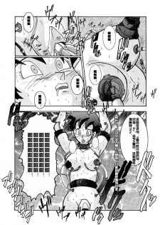 [Light Rate Port Pink] Tanjou!! Aku no Onna Senshi - Videl Sennou Kaizou Keikaku (Dragon Ball Z) [Chinese] [村长个人汉化] - page 13