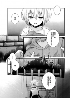 (C92) [Yutairuix (Shihomi)] Yoake Mae no Euphoria [Chinese] [瑞树汉化组] - page 24