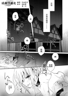 (C92) [Yutairuix (Shihomi)] Yoake Mae no Euphoria [Chinese] [瑞树汉化组] - page 4