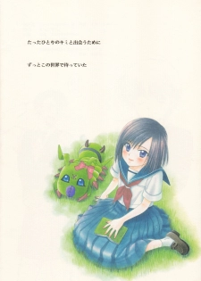 (C60) [Gomoku Gohan (Miyabi Yutaka)] Cutie Honey (Digimon Adventure) - page 46