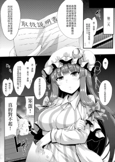 (C94) [YuKi-IRo (Yukiusagi.)] Tokonatsu Majutsu (Touhou Project) [Chinese] [CE家族社] - page 16