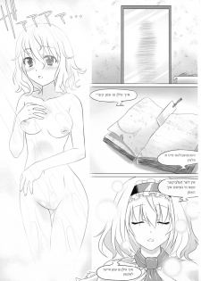 (C89) [HELL-ION (Yoshino.)] IN TO DELIRIUM (Touhou Project) [Chinese] [endlesslocus个人汉化] - page 5