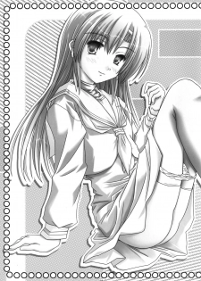 [Kairaku Shuudan (Katou Kakashi)] Hinagiku-san ga Miteru RX (Hayate no Gotoku!) [Digital] - page 4