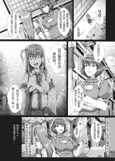 (Reitaisai 12) [Gessyu (Chouzetsu Bishoujo mine)] memoirs (Touhou Project) [Chinese] [没想好名汉化] - page 11