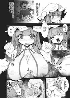 [Eclipse (Rougetu)] INURL:A (Touhou Project) [橘猫汉化组] [Chinese] [Digital] - page 5