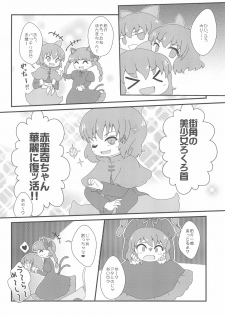 (Ryonaket 3) [Haka no Shita ni iru (Various)] Touhou Roadkill Joint Publication (Touhou Project) - page 42