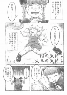 (Ryonaket 3) [Haka no Shita ni iru (Various)] Touhou Roadkill Joint Publication (Touhou Project) - page 13