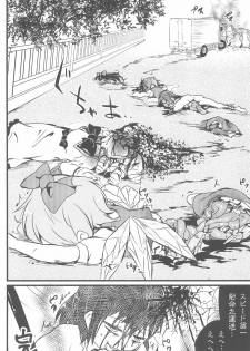 (Ryonaket 3) [Haka no Shita ni iru (Various)] Touhou Roadkill Joint Publication (Touhou Project) - page 30