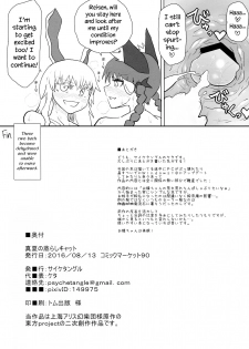 (C90) [Psychetangle (Keta)] Manatsu no Murashi Cat | Midsummer's Steamed Cat (Touhou Project) [English] [Erelzen] - page 17