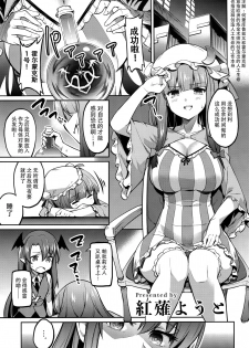 (Kouroumu 14) [Poison Gray (Matsuriuta, Akanagi Youto)] Shikkarimono no Saimin Sakuya-san (Touhou Project) [Chinese] [迷途竹林汉化] - page 16