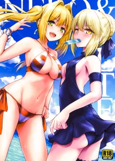 (C94) [54BURGER (Marugoshi)] Nero & Alter (Fate/Grand Order) [Chinese] [無邪気漢化組] - page 2