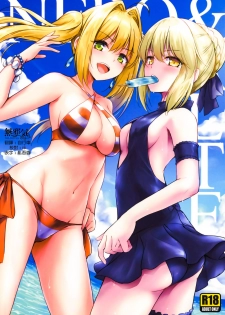 (C94) [54BURGER (Marugoshi)] Nero & Alter (Fate/Grand Order) [Chinese] [無邪気漢化組] - page 1