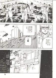 (C31) [Studio Awake (Various)] XSEED Vol. 2 - page 15