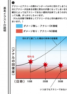 アナニー入門〜女装子マッコ流アナニー生活〜 - page 20