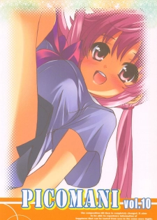 (C81) [SUGAR(S)POT (Sugar Picola, Tsukishima Yuuko)] PICOMANI:10 (Mirai Nikki) - page 26